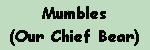 Mumbles, Our Chief Bear